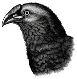 Fastcode - MCP Server | MseeP