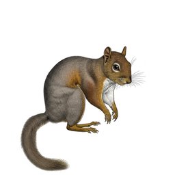 Skyvern