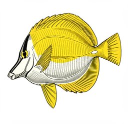 Memory Libsql