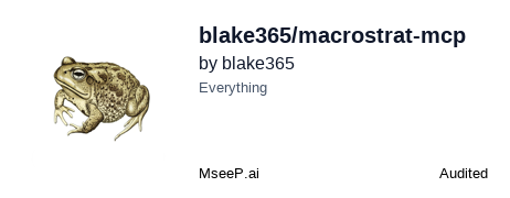 MseeP.ai Security Assessment Badge